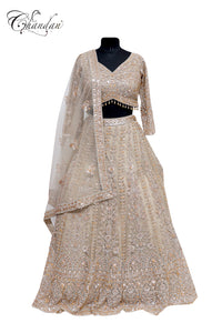 Partywear Lehenga