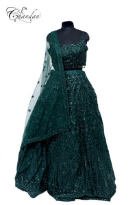 Partywear Ladies Lehenga