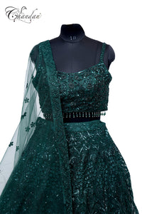 Partywear Ladies Lehenga