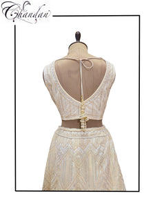 Women's Partywear Lehenga Choli